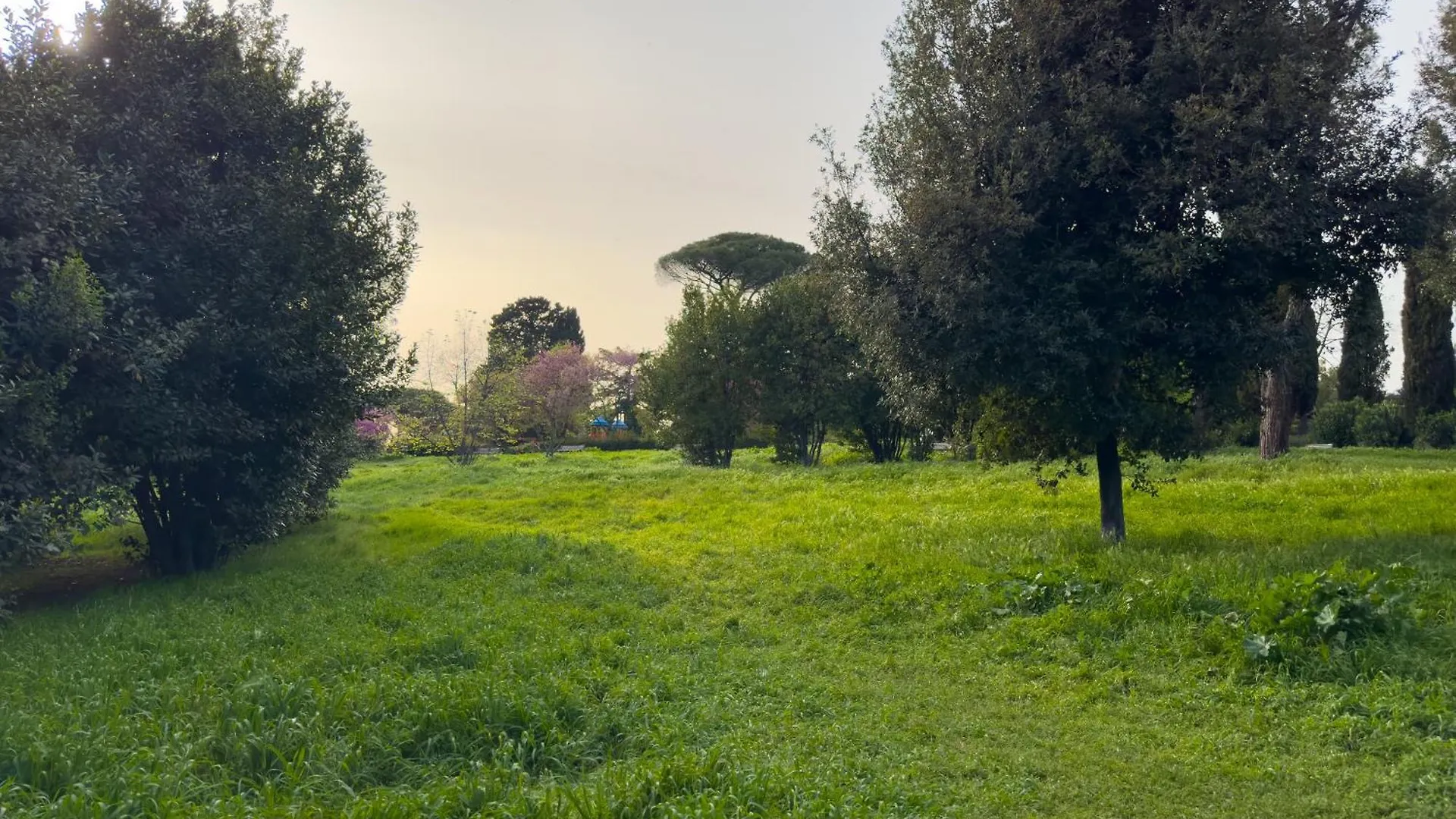Flora'S Apartment ローマ イタリア